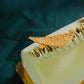 Pistachio-Lemon Yule Log
