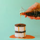 Maple Sandwiches